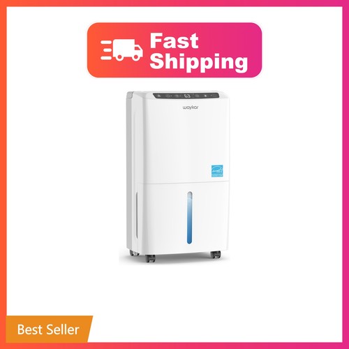 Waykar pints 2025 - 34,